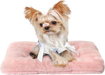 Extra Small Dog Crate Pad 18 x 12 Dog Beds for Tiny Dogs Deluxe Corduroy Fleece Fluffy Comfy Kennel Pad Washable Cute Flat Cat Bed Mat Pink Pet Sleeping Cushion for Mini Small Puppy Breeds XS
