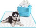 Pet Training and Puppy Pads 24"x24" (75 Count), Super Absorbent Pee Pads for Dogs, Leak-Proof Dog Potty Training Pads for Puppies, Cats, Rabbits, Disposable Pet Pads for Housetraining